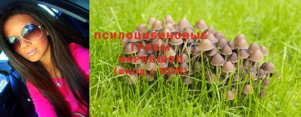 герыч Новокубанск